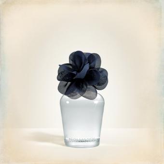 ホリスター 香水　Addison (60ml) アメカジ インポート 正規品保証付 最新作直輸入